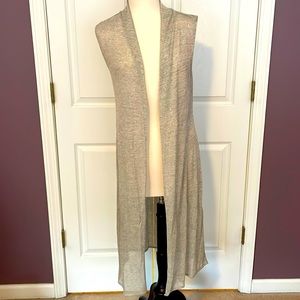 WHBM Silver Duster
